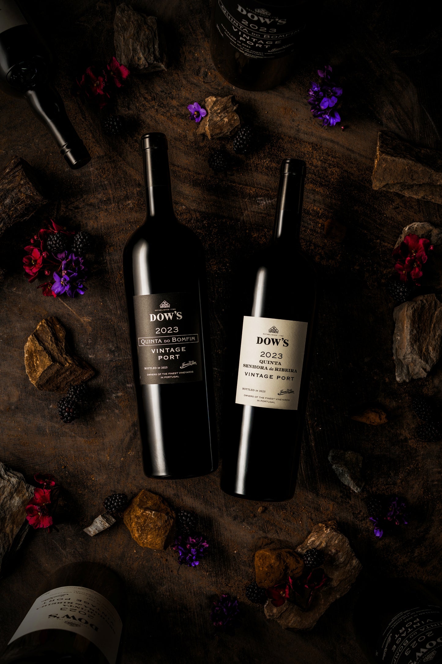 Dow's Quinta da Senhora da Ribeira Vintage 2023