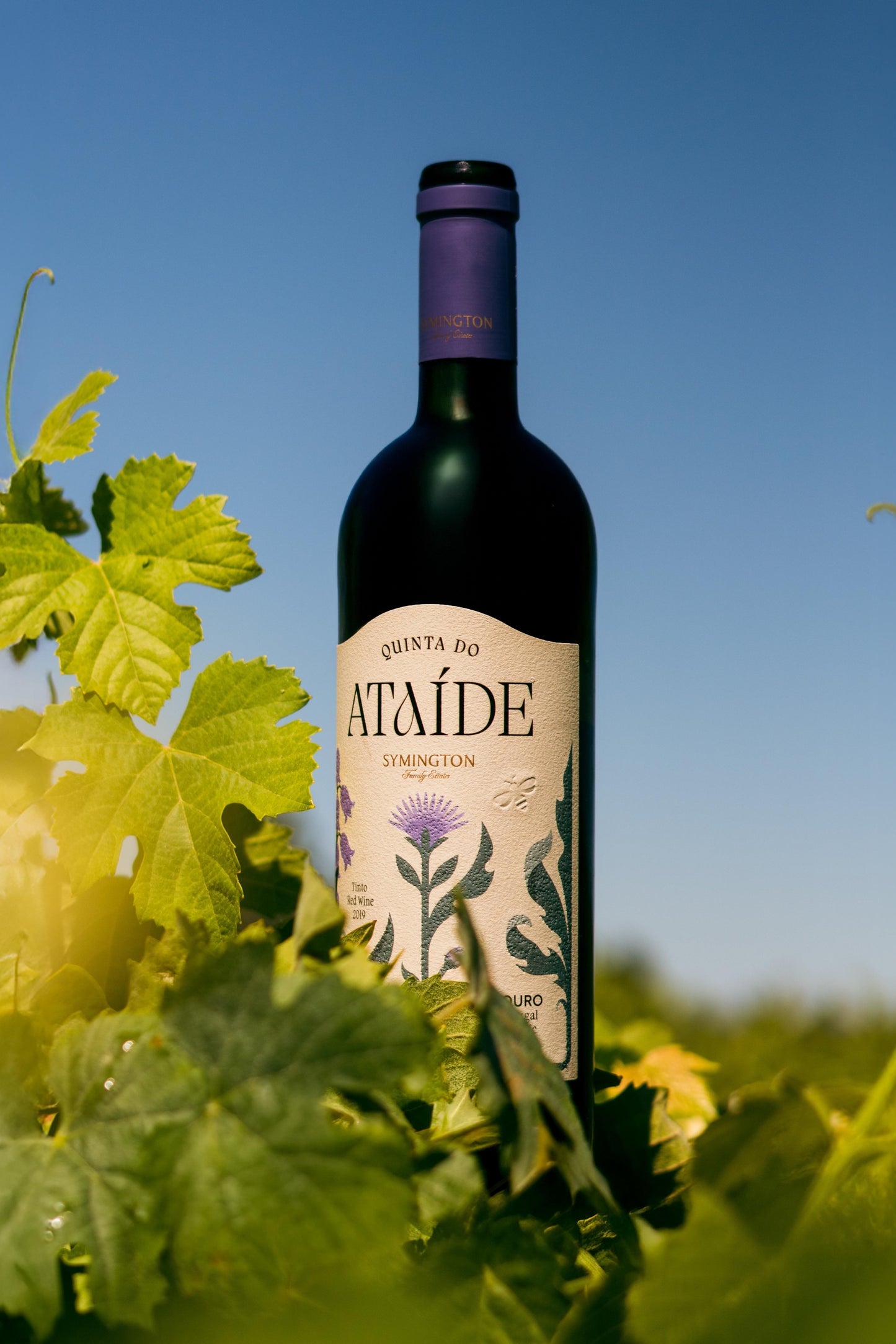 Quinta do Ataíde 2019