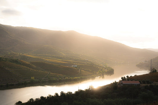 Uma viagem memorável ao Douro