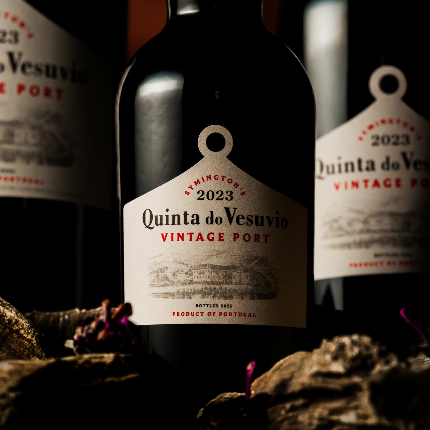 Quinta do Vesúvio Vintage 2023